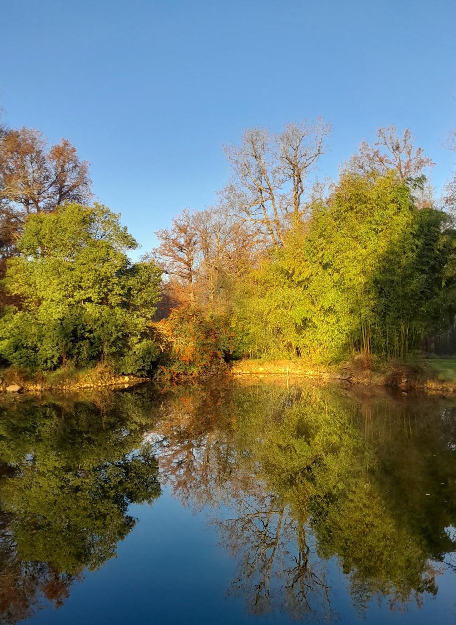La Maison Du Petit Lac Messé Zewnętrze zdjęcie